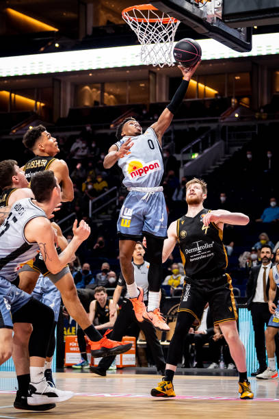 正是多年系 正是多年系